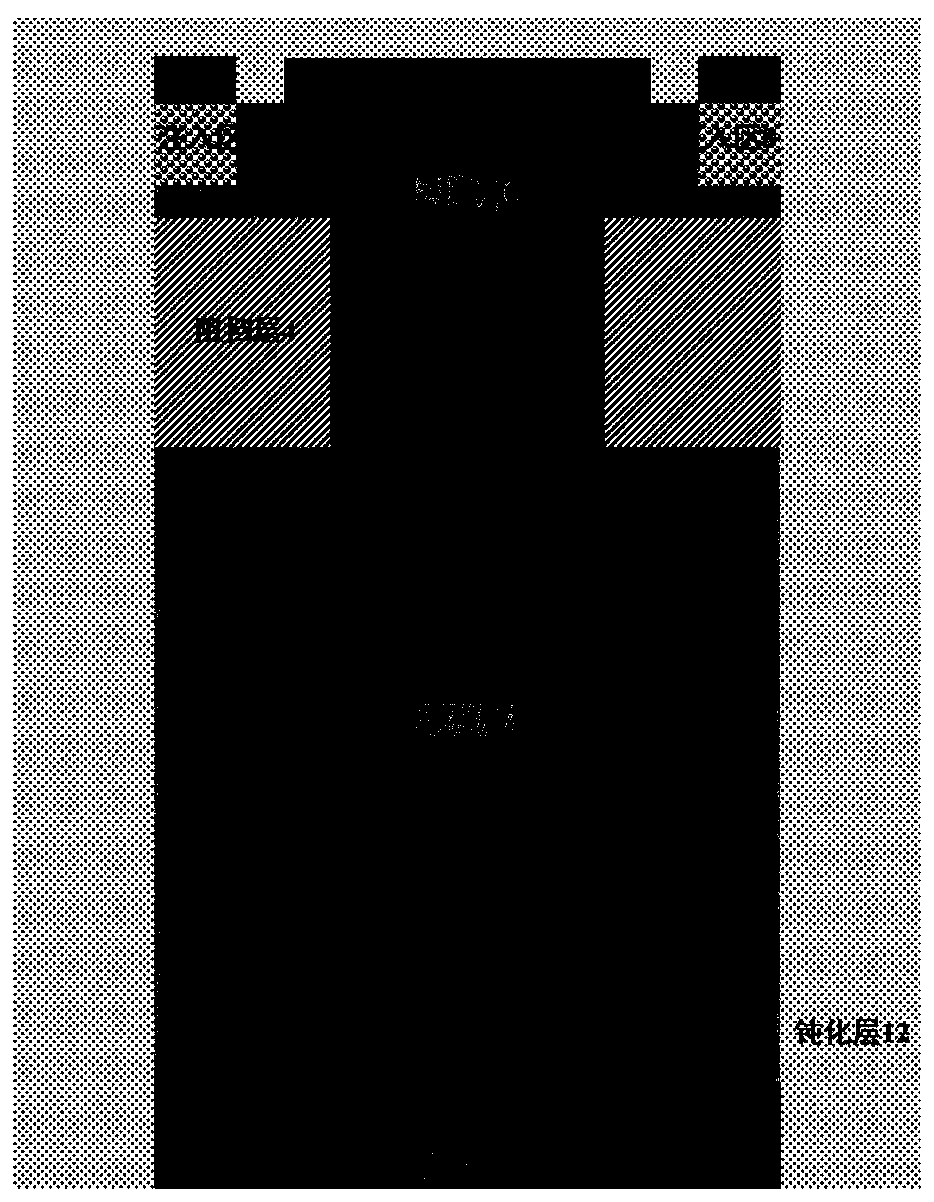 Source echelon field plate vertical power transistor