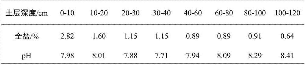 Method for planting astragalus adsurgens pall by using drip irrigation in arid region shallow groundwater strongly saline-alkaline soil