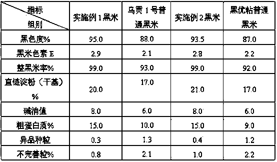 Organic black rice planting method