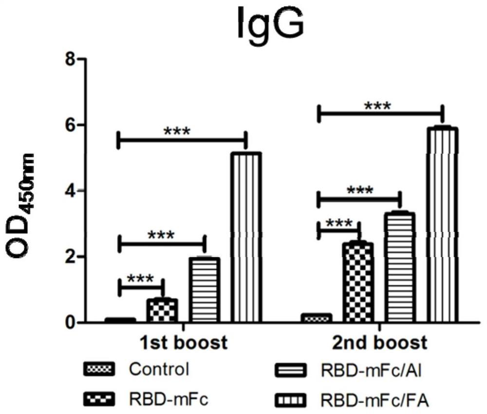 Fusion protein of SARS-CoV-2, and vaccine composition of fusion protein