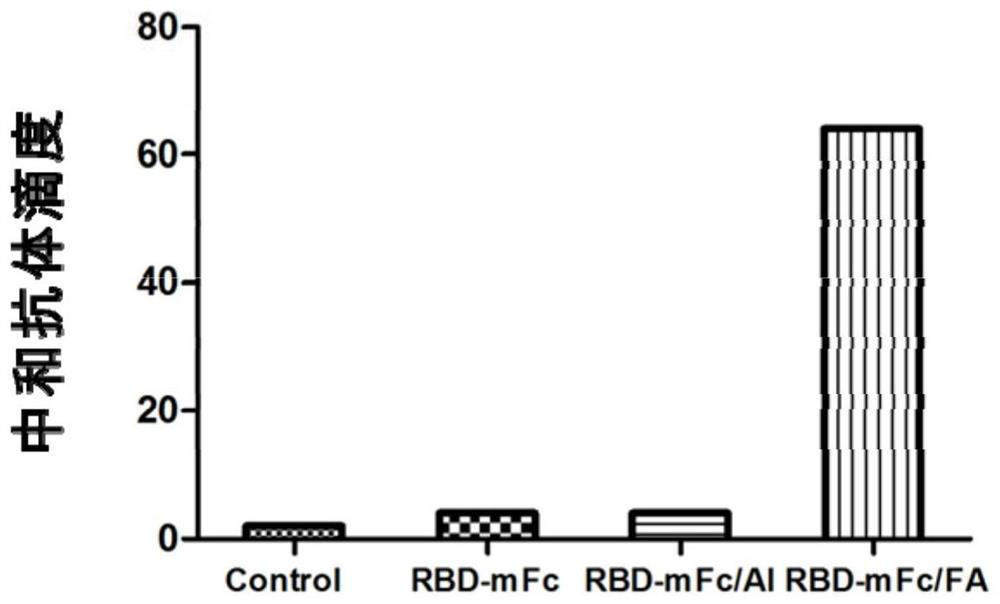 Fusion protein of SARS-CoV-2, and vaccine composition of fusion protein