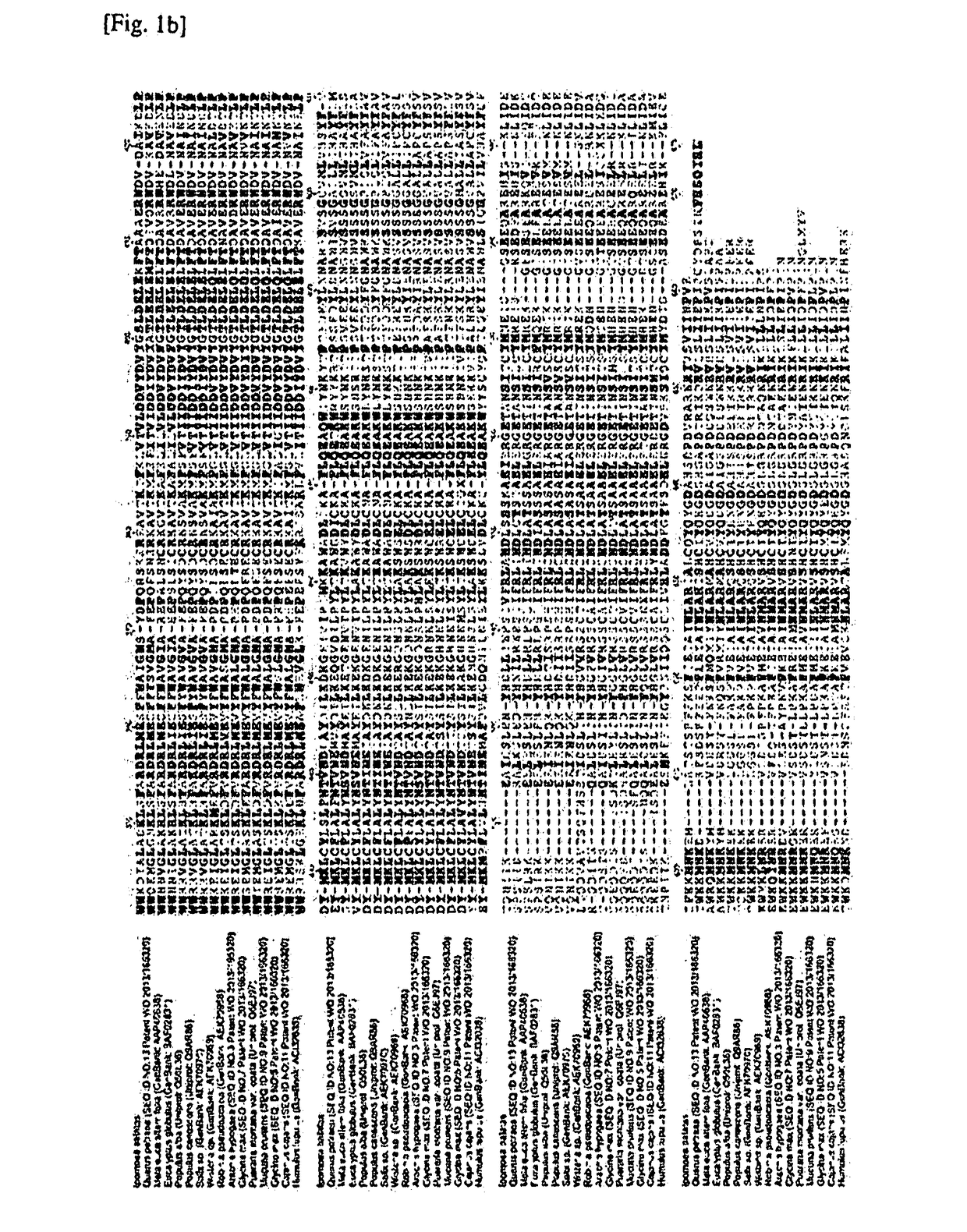 Novel Isoprene Synthase and Method of Preparing Isoprene Using Thereof