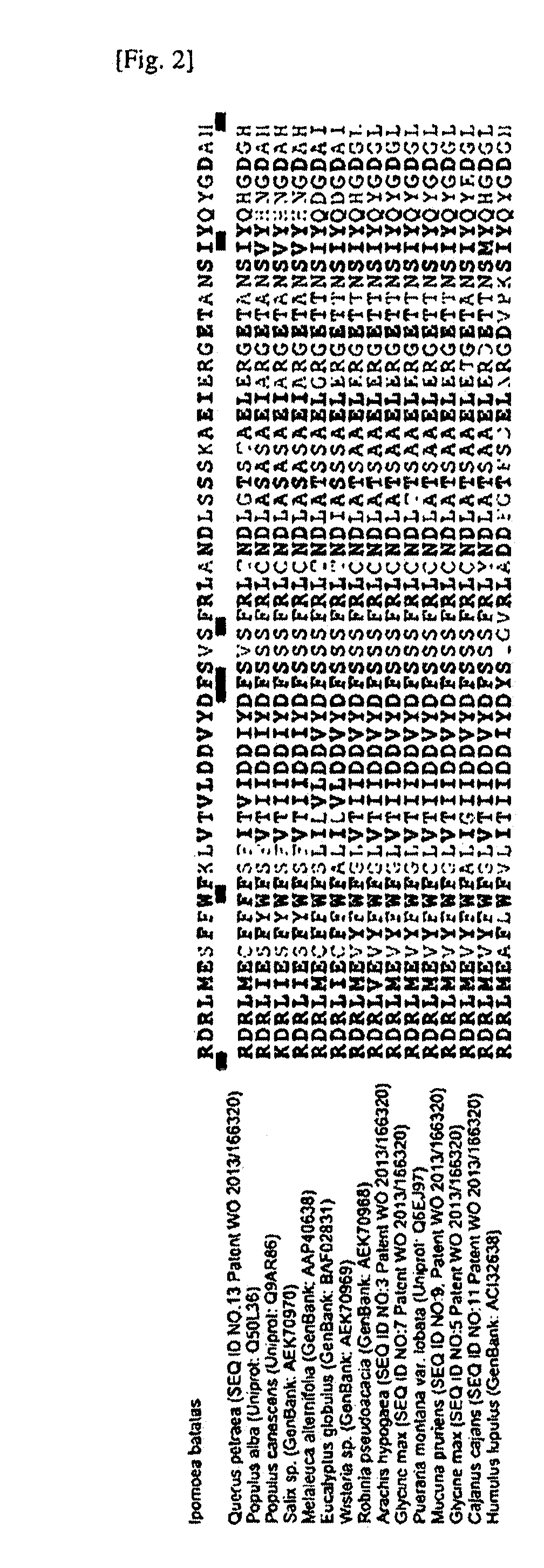 Novel Isoprene Synthase and Method of Preparing Isoprene Using Thereof