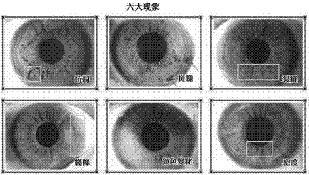 Method for building middle school student mental stress detection system based on iris detection technology