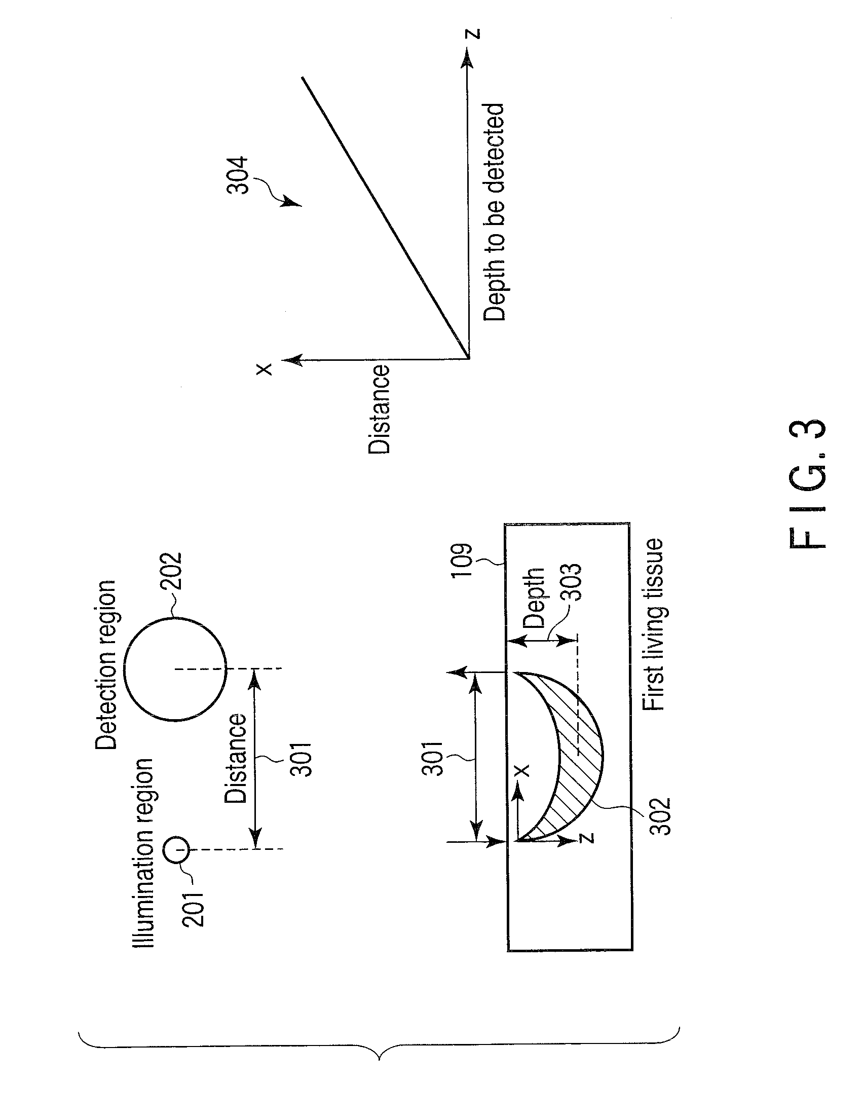 Internal Observation Device for Object having Light Scattering Properties, Internal Body Observation Device, Endoscope for Internal Observation and Internal Observation Method