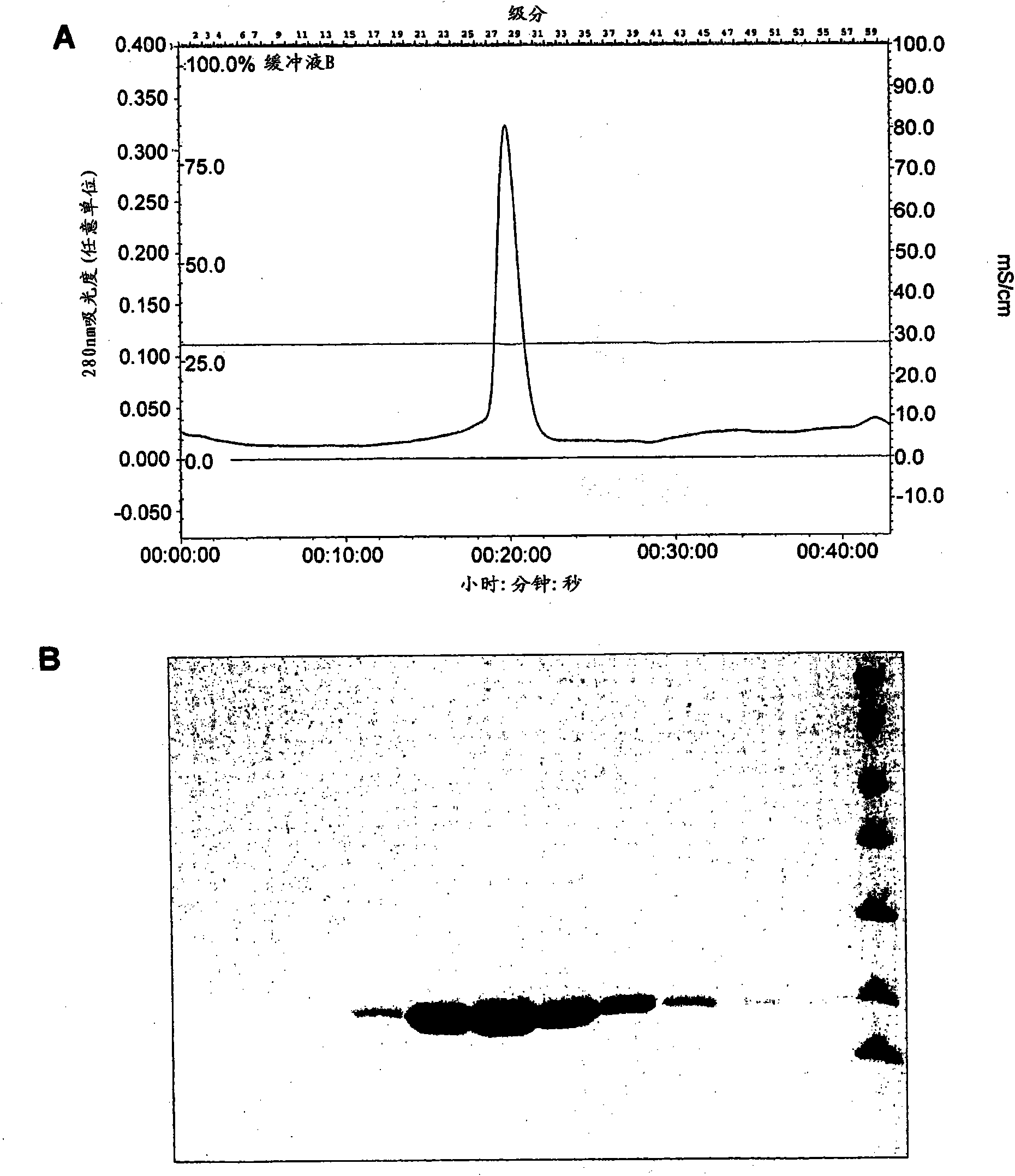 Soluble fragments of influenza virus pb2 protein capable of binding rna-cap