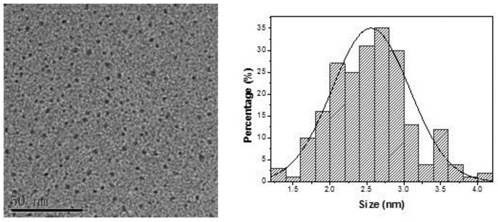 Preparation method and application of carbon dots from beer