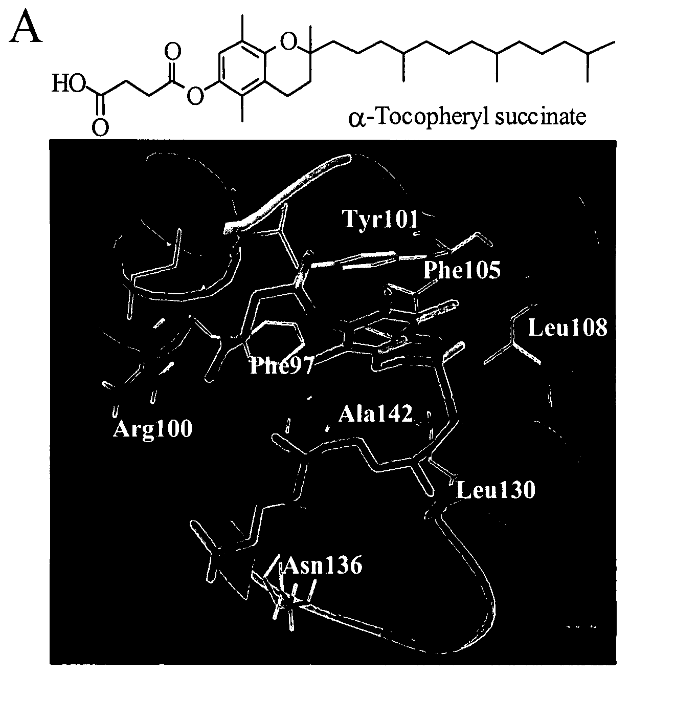 Anticancer agents