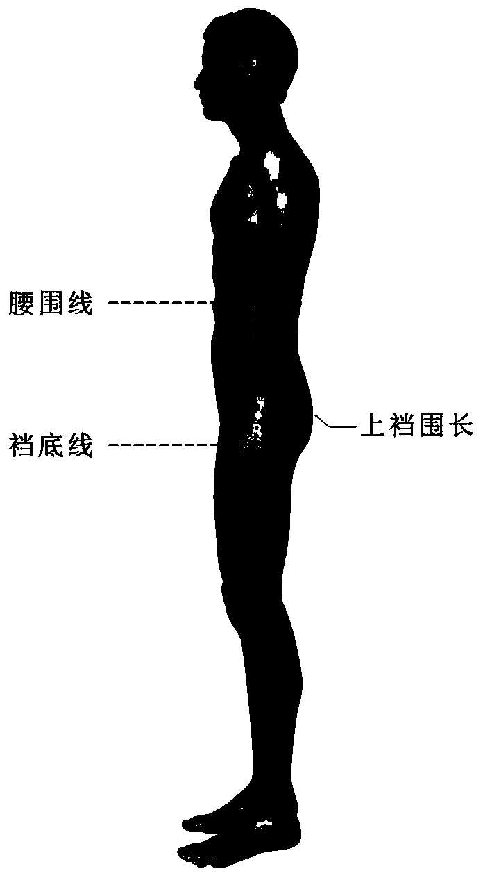 Human body size estimation method based on a radial basis function neural network