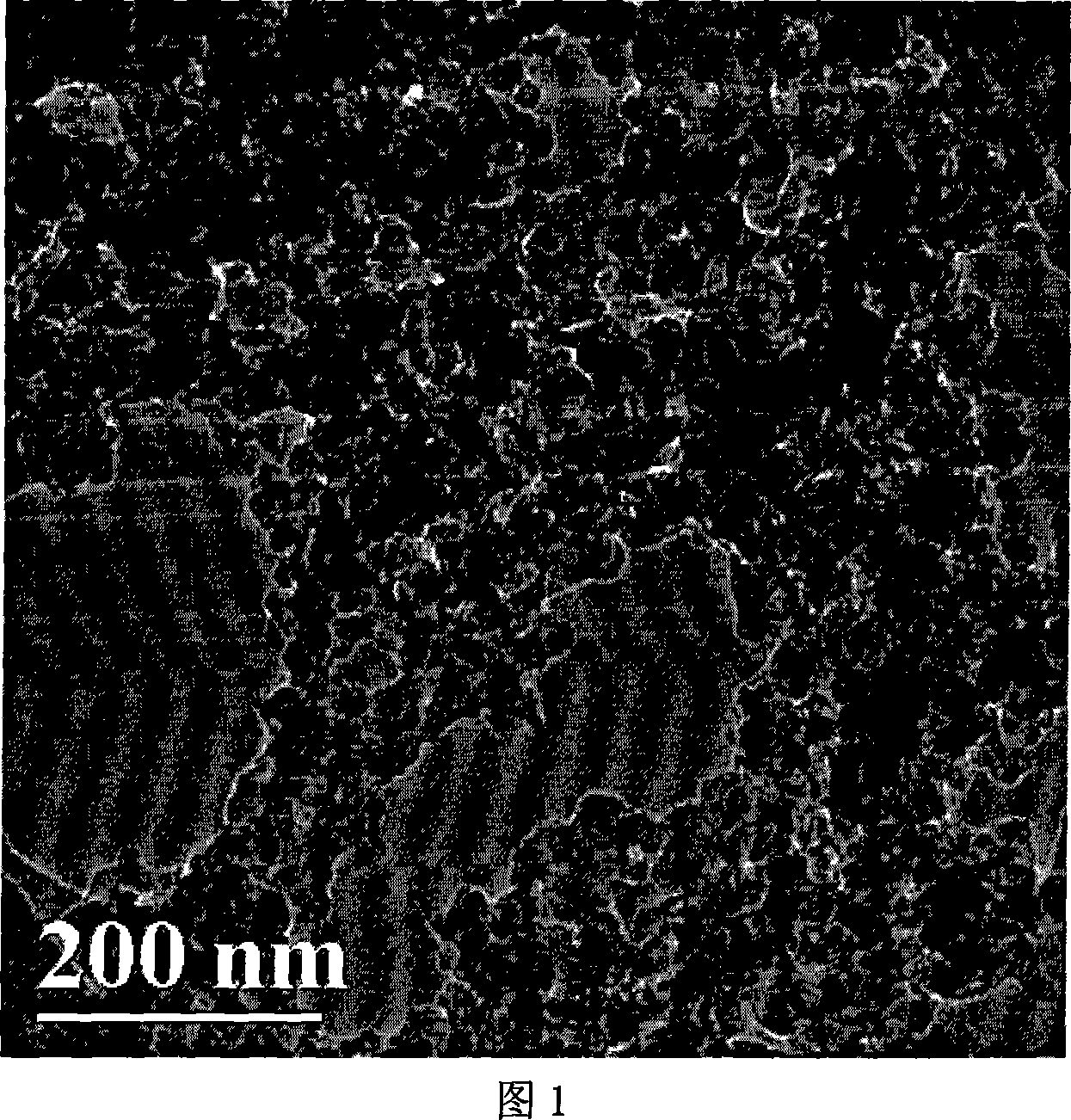 Method of synthesizing poly-pyrrole nano partical by diphenylamine sulfonic acid copolymerization method