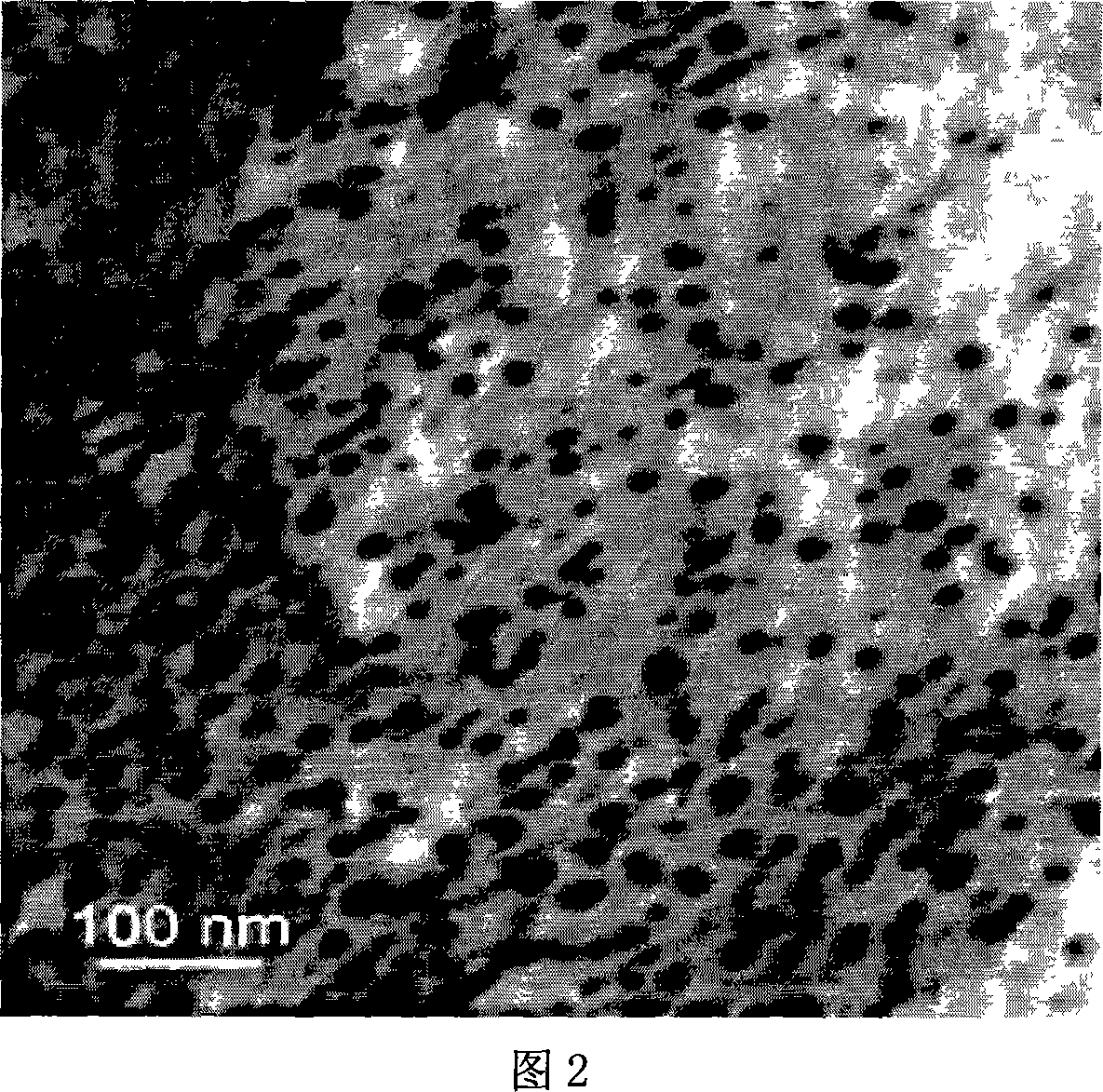 Method of synthesizing poly-pyrrole nano partical by diphenylamine sulfonic acid copolymerization method