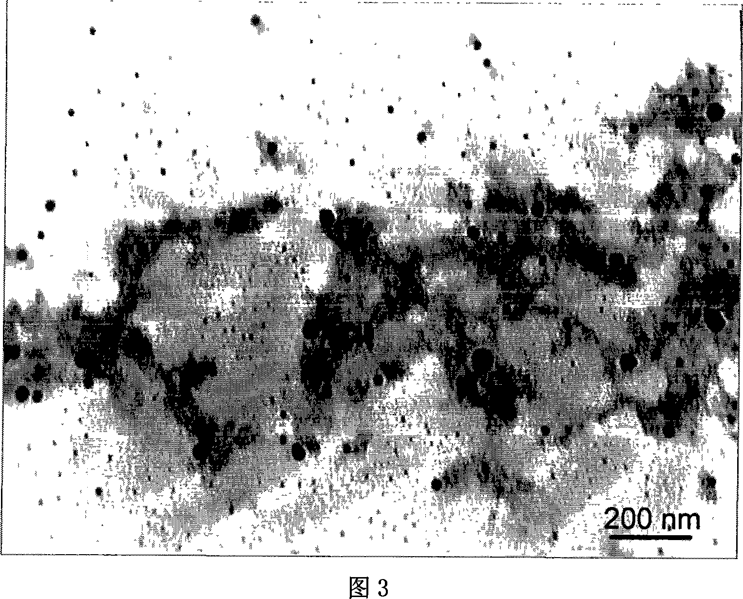 Method of synthesizing poly-pyrrole nano partical by diphenylamine sulfonic acid copolymerization method