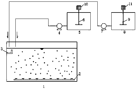 A method for reducing total phosphorus content in sewage