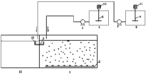 A method for reducing total phosphorus content in sewage