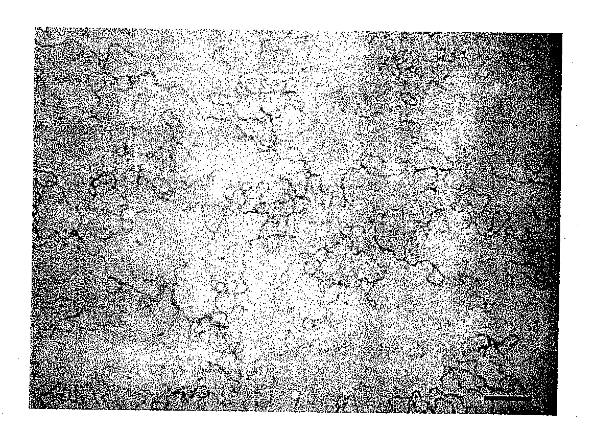 Methods for protein refolding