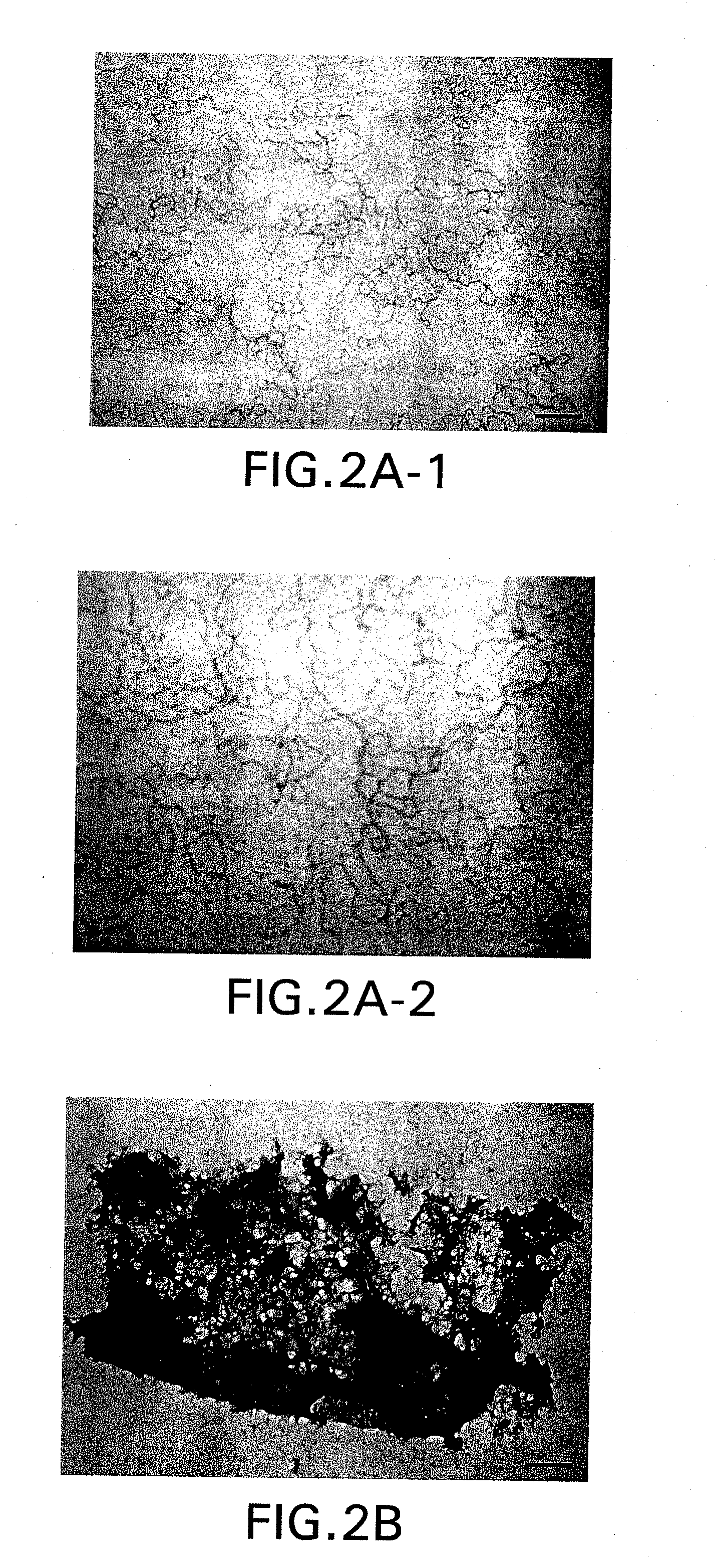 Methods for protein refolding