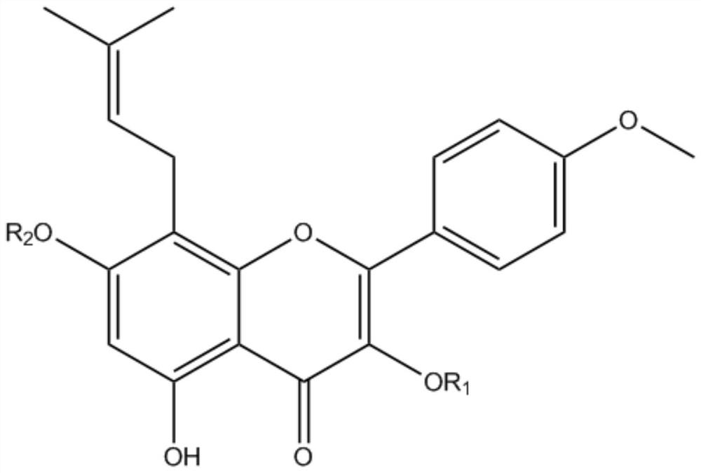 Preparation method of herba epimedii tea, and brewing method of herba epimedii tea prepared by preparation method