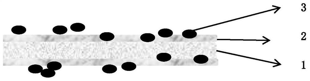 Aqueous binder and preparation method thereof, glued diaphragm and preparation method thereof, and lithium ion secondary battery