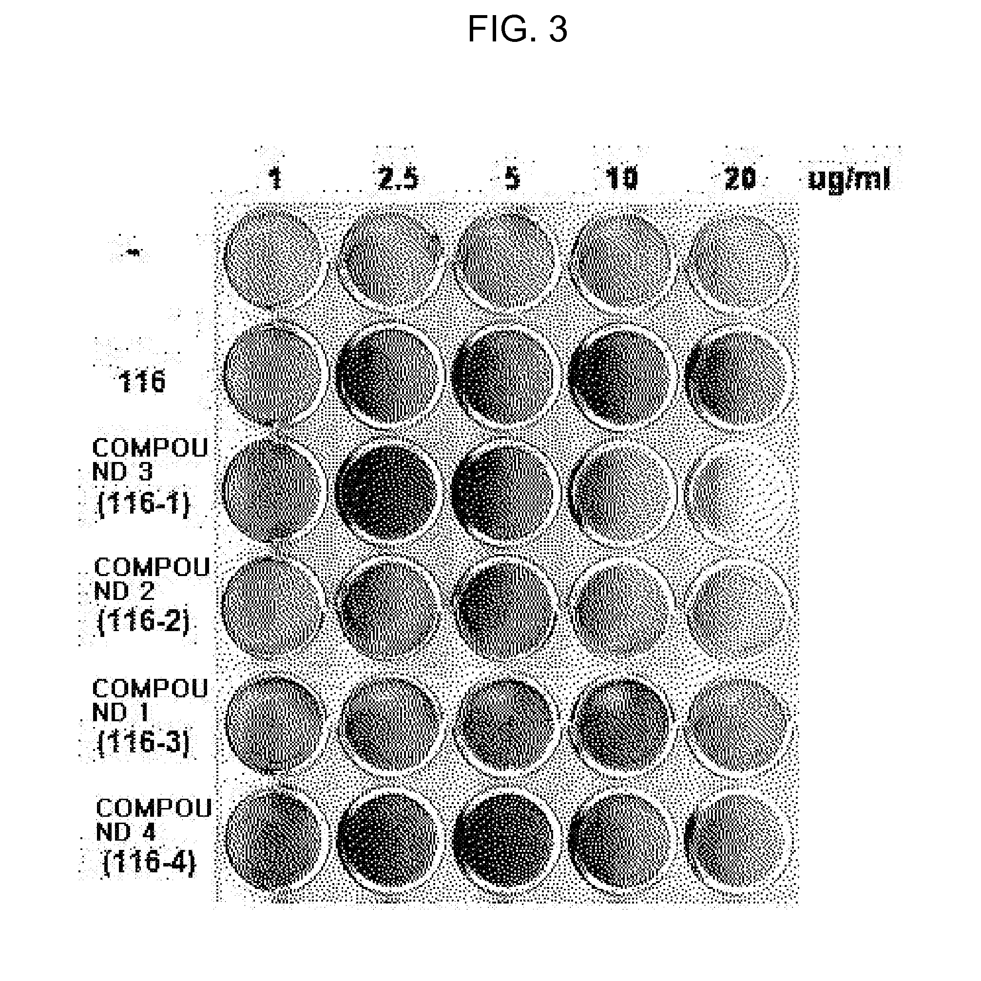 Novel compound with spiro chiral carbon backbone, preparation method thereof, and pharmaceutical composition containing the same