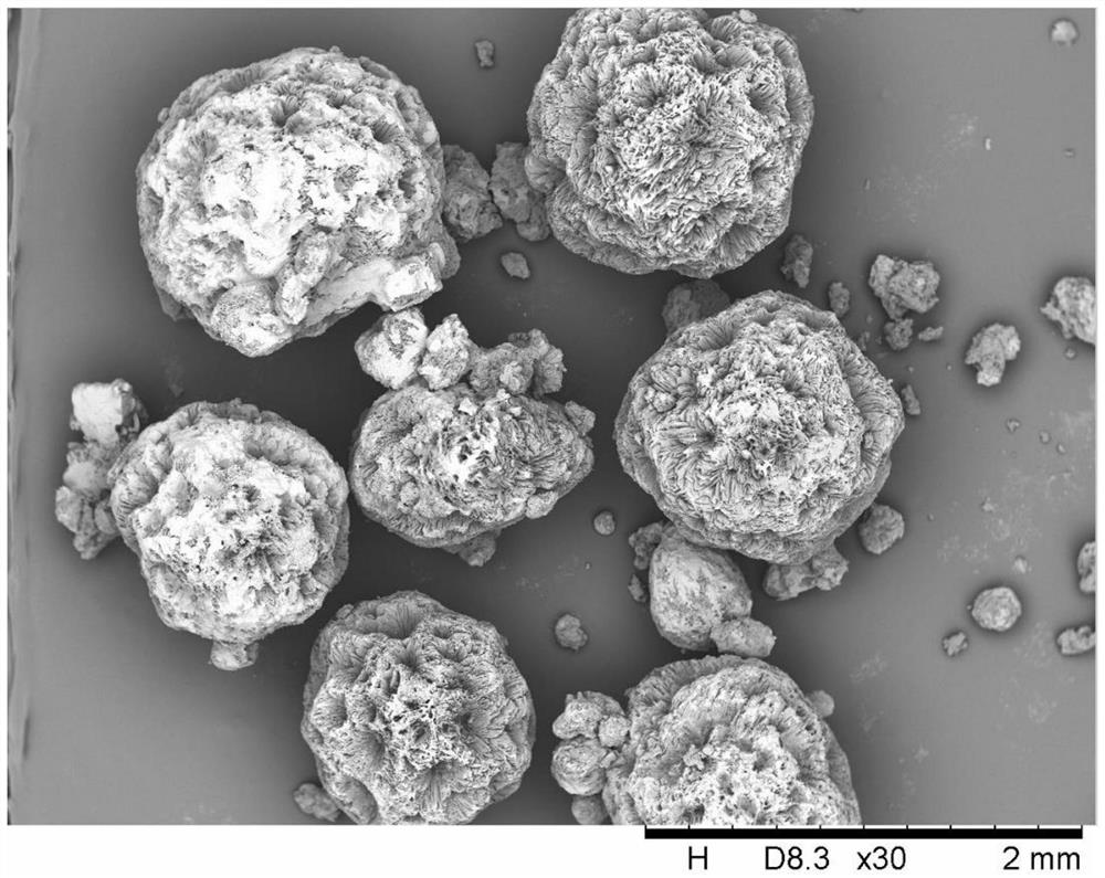 Preparation method of sodium percarbonate