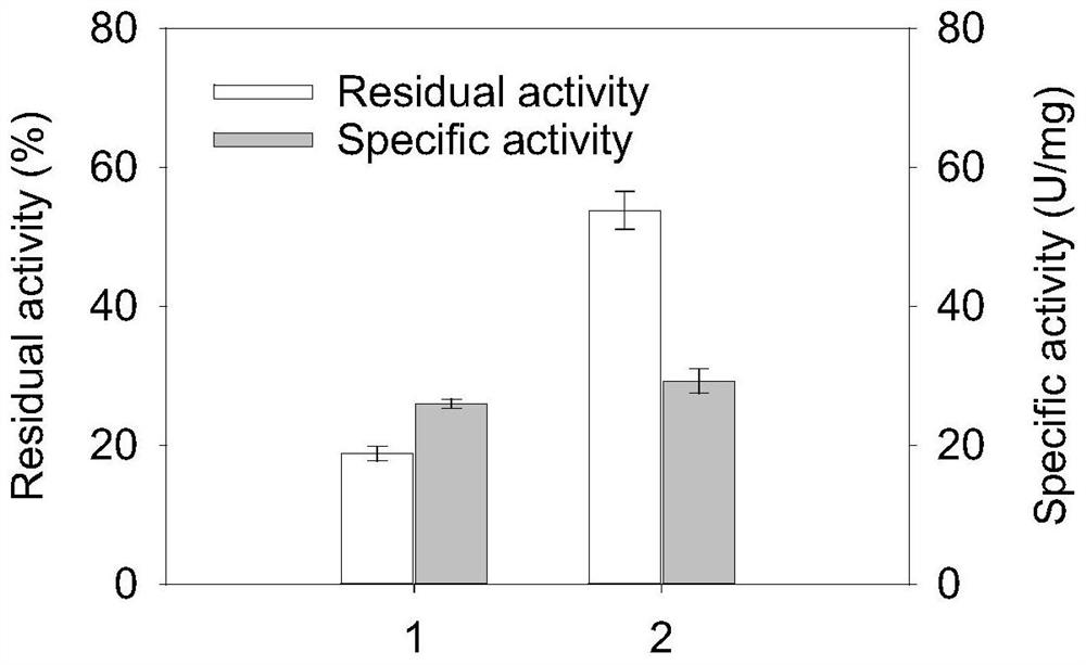 Glutamine transaminase variant with improved catalytic activity and thermal stability