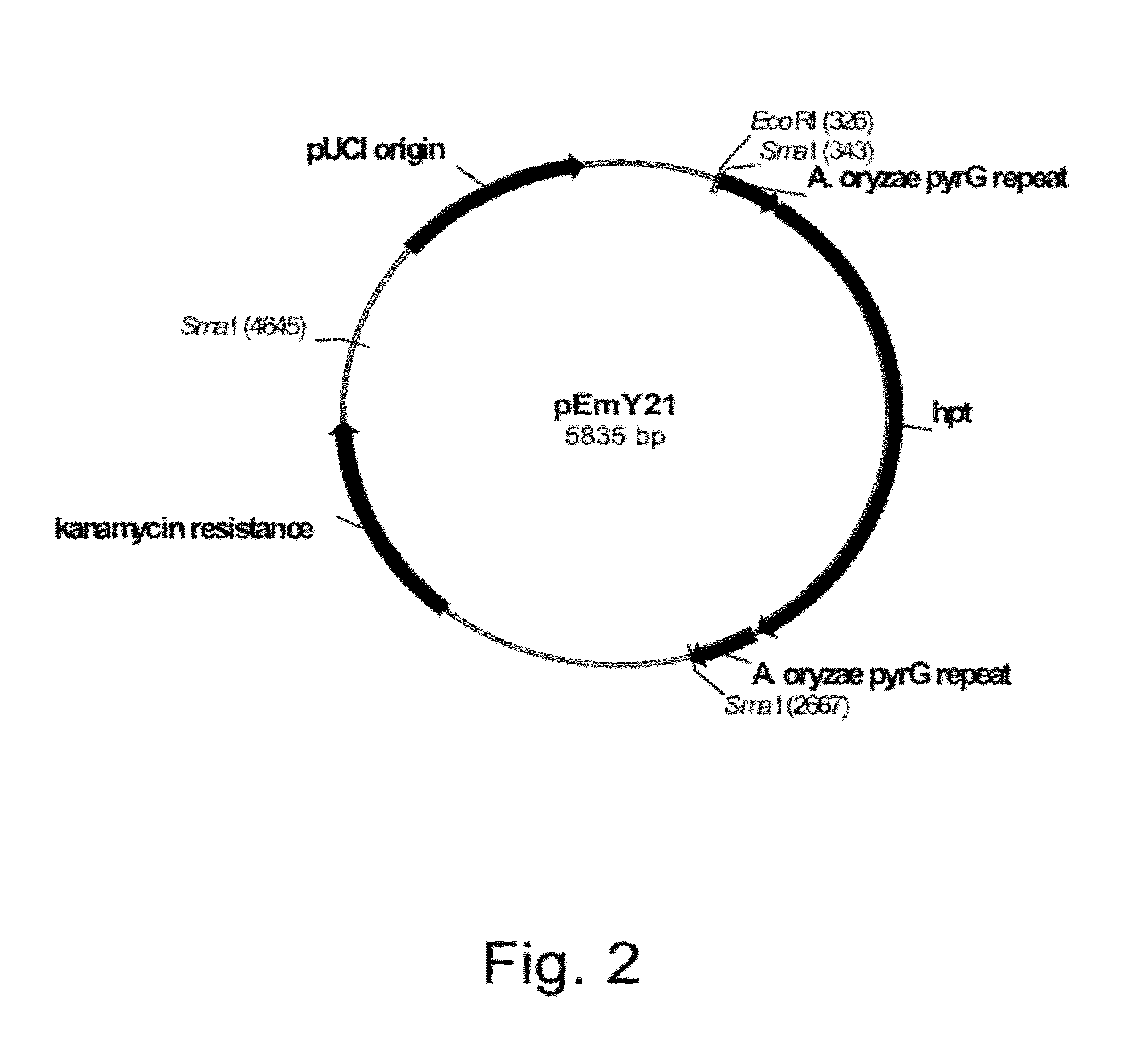 Methods for Producing Polypeptidies in Protease-Deficient Mutants of Trichoderma