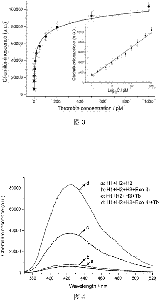 A probe based on target-triggered dual signal amplification and its application