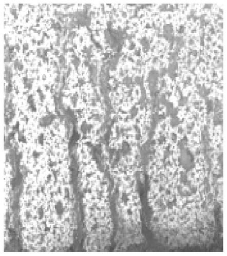 Preparation method of graphene-based steel anticorrosive coating