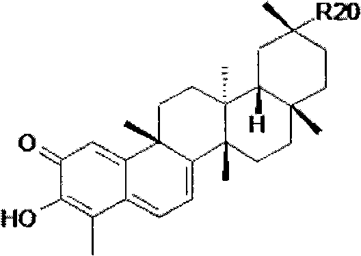 Tripterine and tripterine derivatives for treating cancer, inflammation and central nervous system diseases