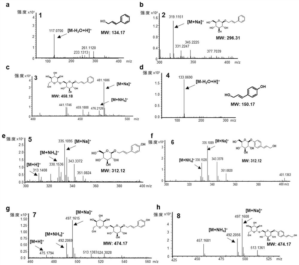 Rosev analogs and genetically engineered bacteria producing the rosavi analogs and applications thereof