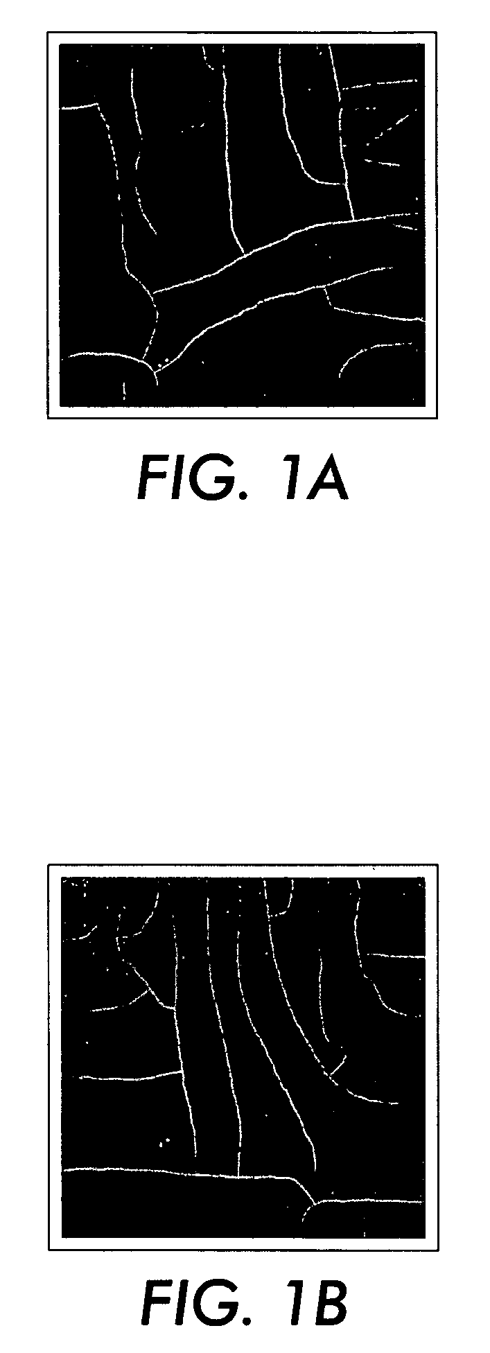 Prevention or reduction of thermal cracking on toner-based prints