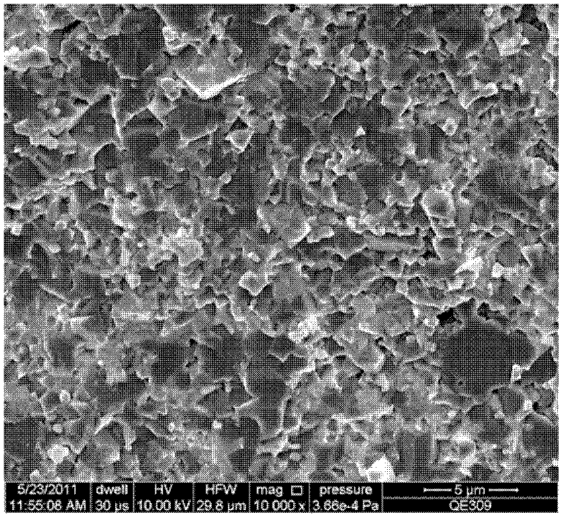 A preparation method of high-density ferrite-carbon nanotube composite bulk material