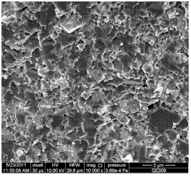 A preparation method of high-density ferrite-carbon nanotube composite bulk material