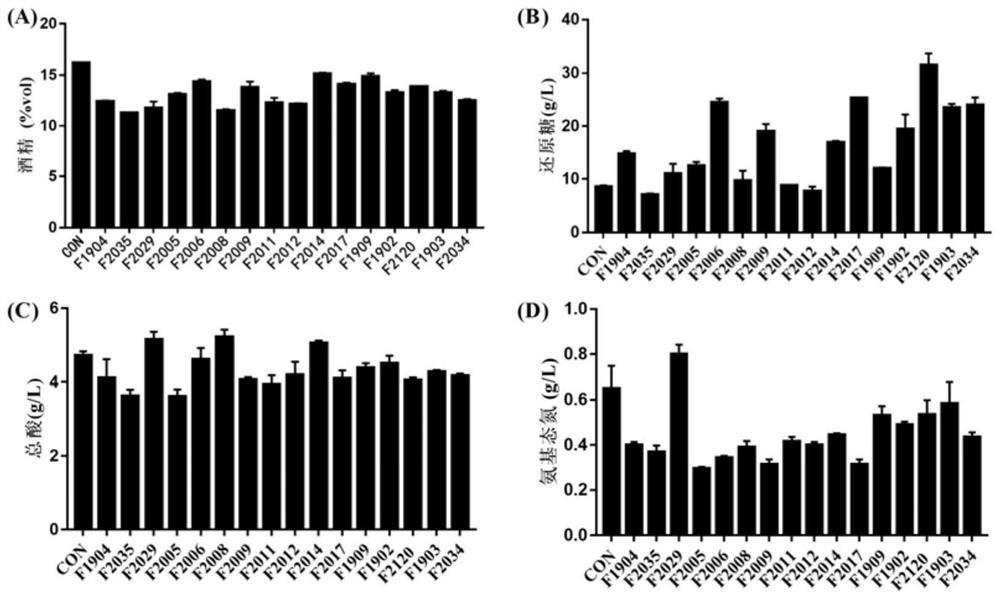 Preparation method and application of saccharopolyspora sp. Inoculated raw wheat koji for brewing food