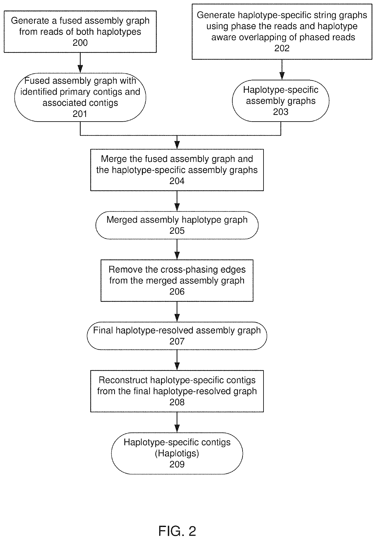 De novo diploid genome assembly and haplotype sequence reconstruction