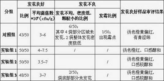 Eurotium cristatum-growing loose tea processing technology