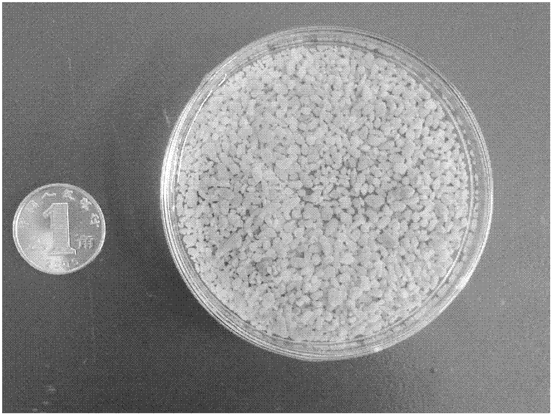 Immobilized-cultivation method for aerobic granular sludge