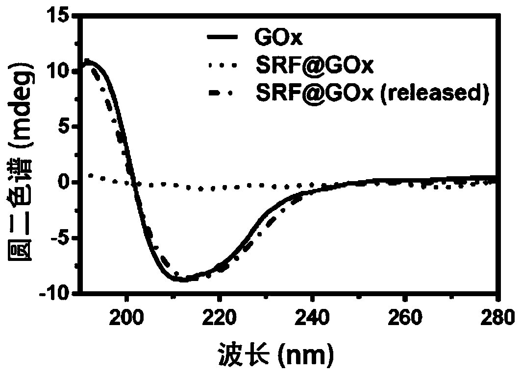 Nano therapeutic agent and preparation method and application thereof