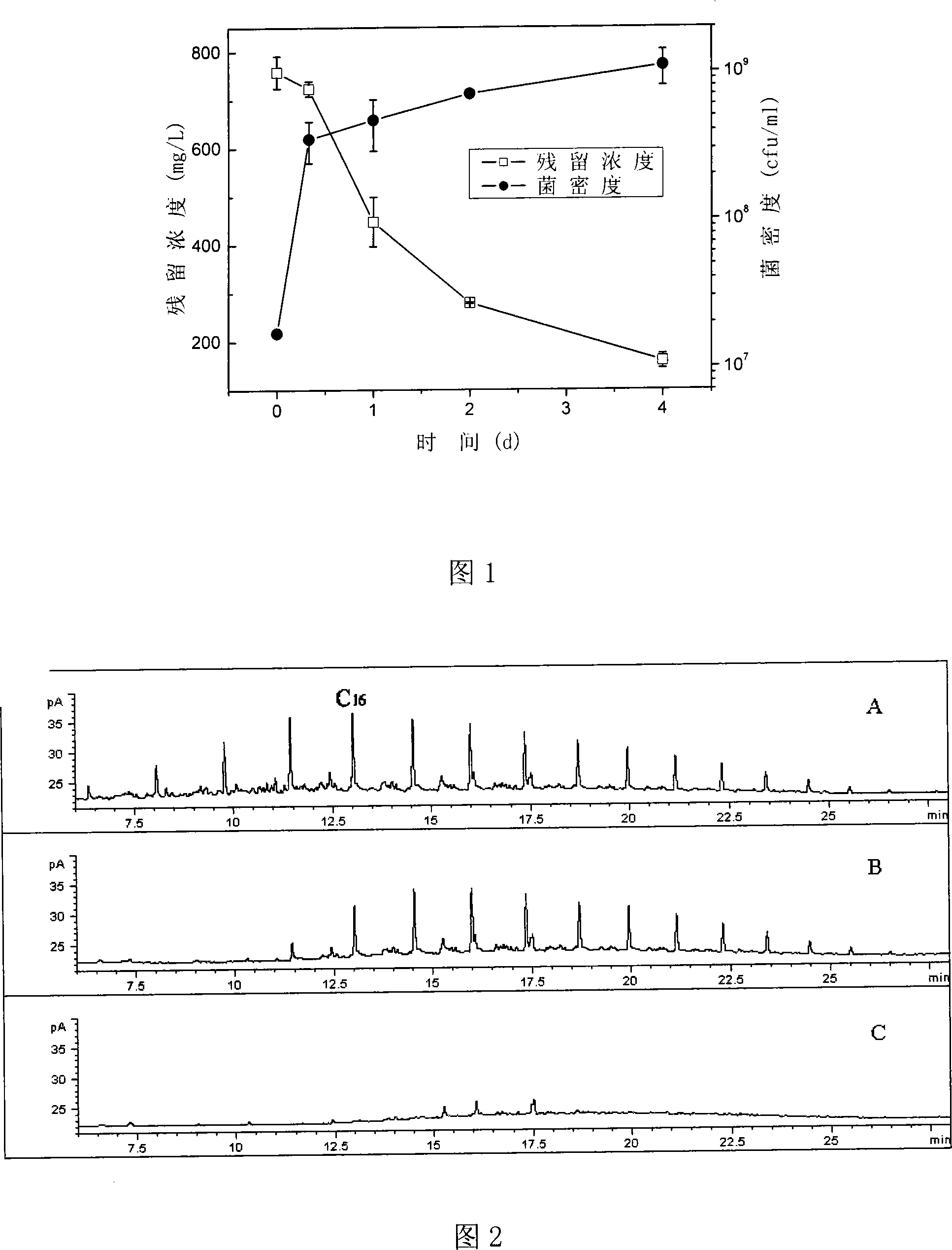 Diesel oil alkane component degradation bacterium and application thereof