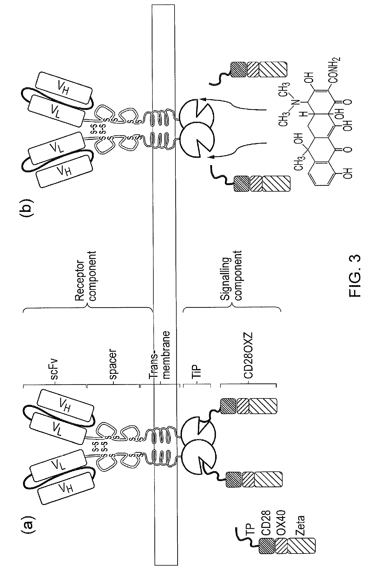 Signalling system