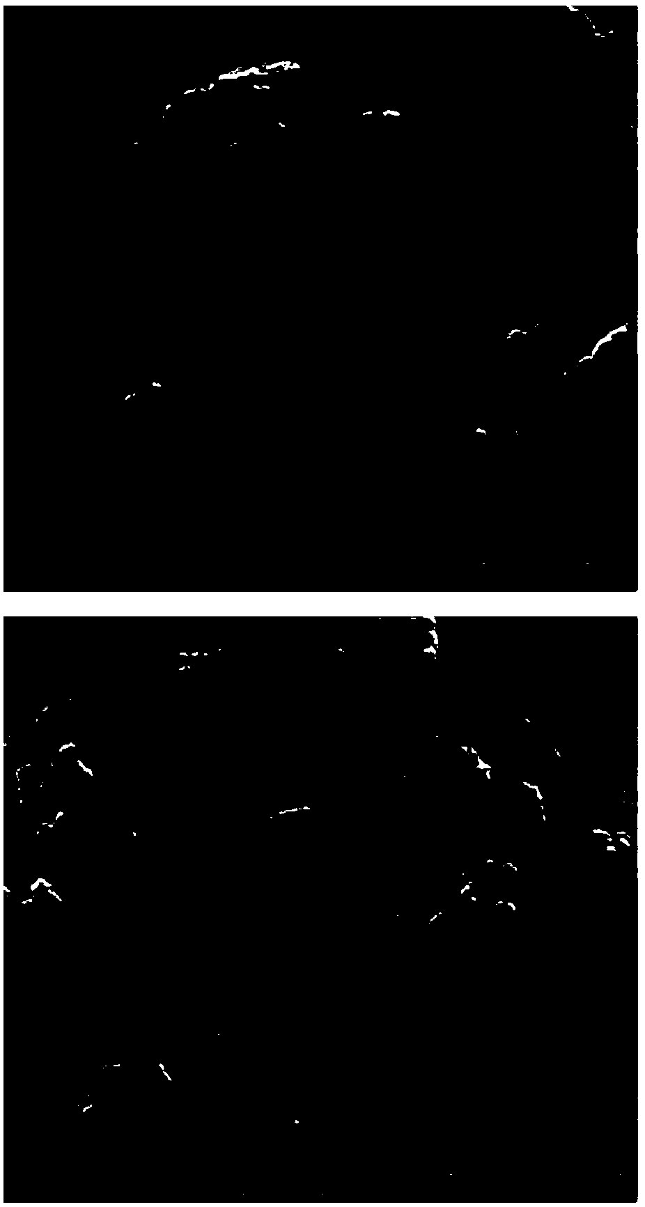 Salicylic acid surface modified nano-tio2 magnetic composite material and preparation method