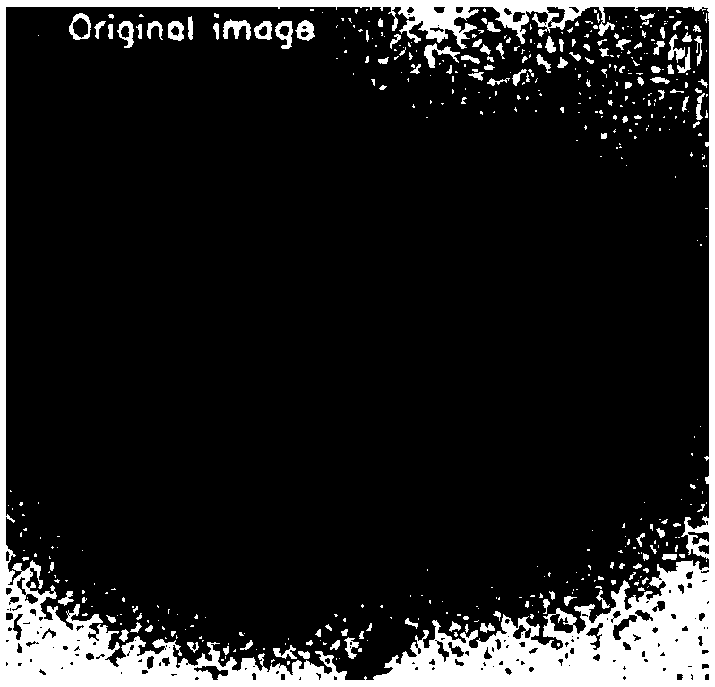 A Target Extraction and Flat-Field Correction Method for Imaging Systems with Large Gain Differences