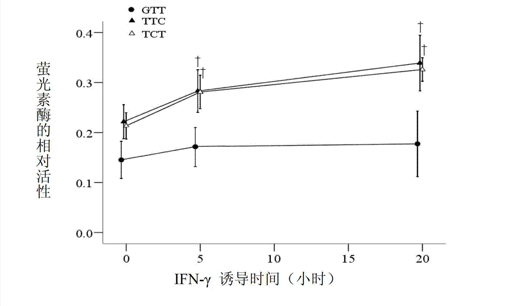 Application of single nucleotide polymorphism rs3888188 to detection of tuberculosis susceptibility