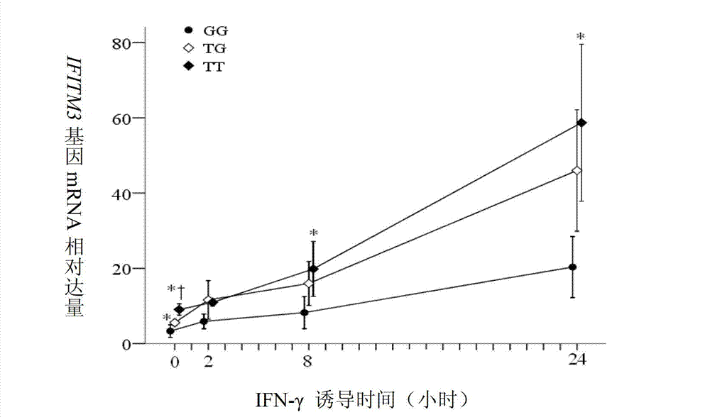 Application of single nucleotide polymorphism rs3888188 to detection of tuberculosis susceptibility