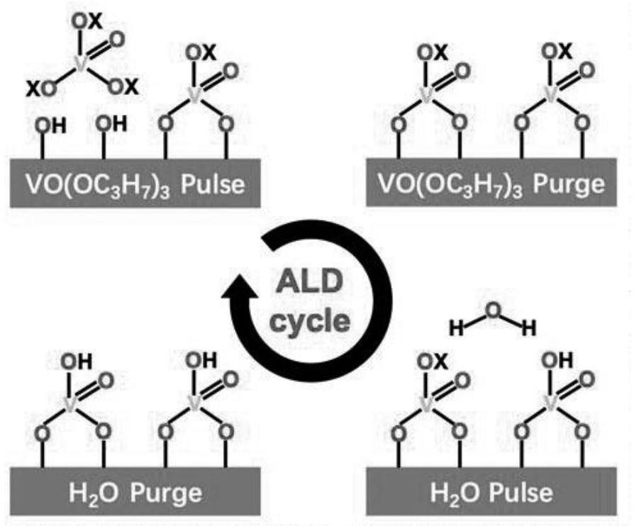 A kind of vanadium-carbon composite combustion catalyst for propellant and preparation method thereof