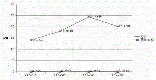 Blocking ELISA method for detecting cysticercosis pisiformis cyst fluid antibody of rabbit