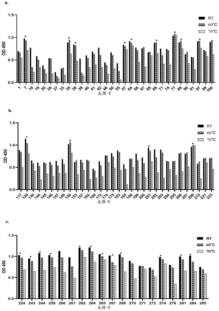 Anti-HER2/anti-PD-L1 bifunctional antibody and application thereof