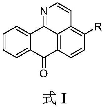 Isoaporphine oxide alkaloid derivative and application thereof