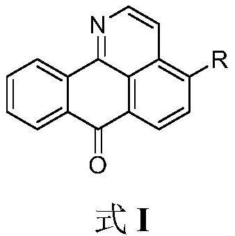 Isoaporphine oxide alkaloid derivative and application thereof