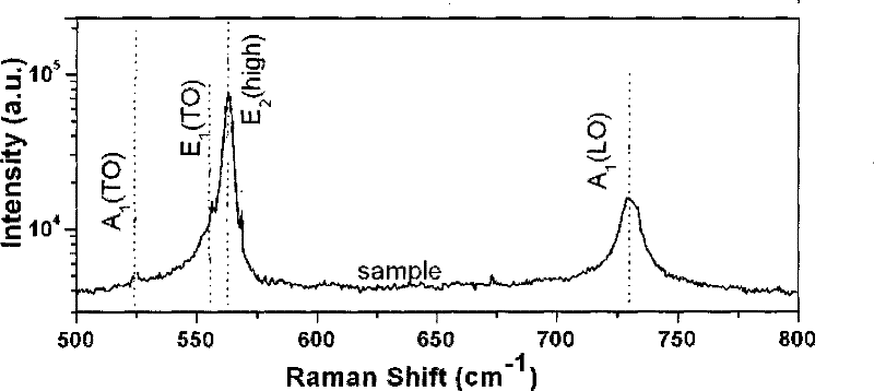 Method for Fe doped growing GaFeN dilution magnetic semiconductor and uses thereof